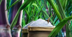 Importaciones de azúcar refinada de caña cerraron el 2017 en casi US$ 108 millones