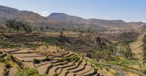 Impulsan la rehabilitación de andenes como eje estratégico para el desarrollo rural sostenible
