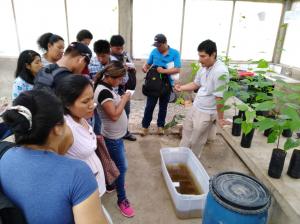 INIA capacita a técnicos de proyecto Haku Wiñay en métodos de abono para sacha inchi