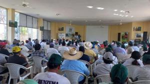 INIA transfiere tecnologías para conservar la producción de arroz ante presencia de fenómeno de El Niño