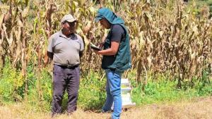 Inician la Encuesta Nacional de Intenciones de Siembra para la campaña agrícola 2026/2027