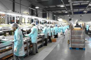 Instituto de Marketing Industrial ofrece certificación internacional en Gerencia de Ventas B2B