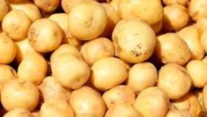 Kenia será la sede del Congreso Mundial de la Papa de 2026