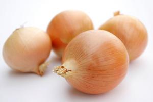 <span class='highlight'></span>L<span class='highlight'></span>A<span class='highlight'></span> <span class='highlight'></span>E<span class='highlight'></span>S<span class='highlight'></span>C<span class='highlight'></span>A<span class='highlight'></span>S<span class='highlight'></span>E<span class='highlight'></span>Z<span class='highlight'></span> <span class='highlight'></span>M<span class='highlight'></span>U<span class='highlight'></span>N<span class='highlight'></span>D<span class='highlight'></span>I<span class='highlight'></span>A<span class='highlight'></span>L<span class='highlight'></span> <span class='highlight'></span>F<span class='highlight'></span>A<span class='highlight'></span>V<span class='highlight'></span>O<span class='highlight'></span>R<span class='highlight'></span>E<span class='highlight'></span>C<span class='highlight'></span>E<span class='highlight'></span> <span class='highlight'></span>N<span class='highlight'></span>U<span class='highlight'></span>E<span class='highlight'></span>S<span class='highlight'></span>T<span class='highlight'></span>R<span class='highlight'></span>A<span class='highlight'></span>S<span class='highlight'></span> <span class='highlight'></span>E<span class='highlight'></span>X<span class='highlight'></span>P<span class='highlight'></span>O<span class='highlight'></span>R<span class='highlight'></span>T<span class='highlight'></span>A<span class='highlight'></span>C<span class='highlight'></span>I<span class='highlight'></span>O<span class='highlight'></span>N<span class='highlight'></span>E<span class='highlight'></span>S<span class='highlight'></span> <span class='highlight'></span>D<span class='highlight'></span>E<span class='highlight'></span> <span class='highlight'></span>C<span class='highlight'></span>E<span class='highlight'></span>B<span class='highlight'></span>O<span class='highlight'></span>L<span class='highlight'></span>L<span class='highlight'></span>A<span class='highlight'></span>
