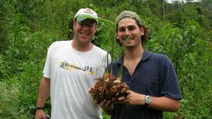 La gran industria del jengibre peruano de exportación tiene un mal muy grave: la informalidad