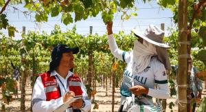 La Libertad: buscan promover seguridad y salud en el trabajo en sector agroindustrial