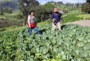 La Libertad: Foncodes invierte S/ 13.9 millones en proyectos productivos