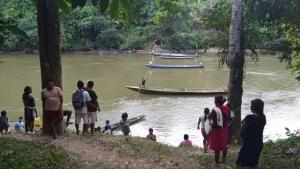 La minería ilegal impacta en la producción de cacao