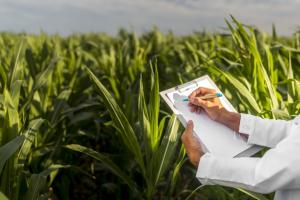 La profesionalización en el sector agrario es fundamental para potenciar la productividad y la economía en Perú