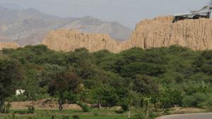 Lambayeque: fortalecerán innovación productiva y articulación al mercado en Bosque de Pómac