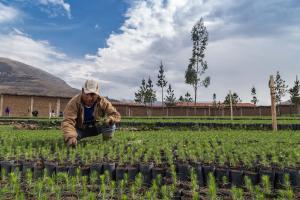 Lanzan fondos para financiar proyectos innovadores sobre agricultura sostenible