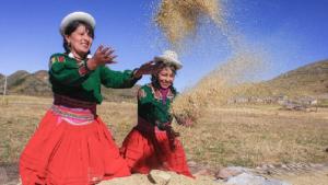 Ley de industrialización de granos andinos impulsará la agricultura familiar