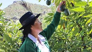 Lo que le falta al Perú para ser una potencia alimentaria mundial