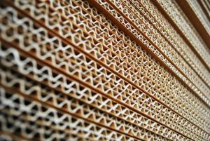 “Los embalajes de cartón ondulado tienen influencia positiva directa en el comportamiento del consumidor de frutas y hortalizas”