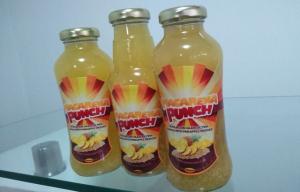 MACARENA PUNCH DE QUINUA CON GAJOS DE PIÑA ES FINALISTA EN CONCURSO DE INNOVACIÓN DE EXPOALIMENTARIA 2015