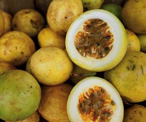 MARACUYÁ: EXPORTACIONES BATEN RÉCORD EN PRIMER CUATRIMESTRE