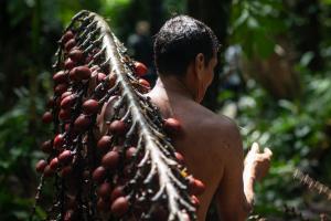 Más de 13.000 personas de 120 comunidades indígenas desarrollan bionegocios en Loreto