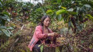 Más de 1800 mujeres rurales e indígenas postulan a subvención económica