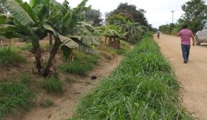 Más de 55 mil familias agricultoras se beneficiarán con el mantenimiento de 232 canales de riego