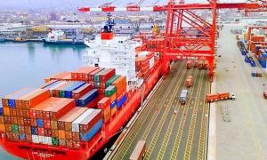 Más del 60% de las exportaciones de arándanos, uva, cítricos y palta salieron por el Muelle Sur del Callao