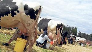 MEF anuncia programa multisectorial “Con Punche Perú” para afectados por las manifestaciones