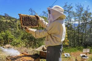 MEF autoriza transferencia de S/ 13.177.910 para planes de negocios agrarios