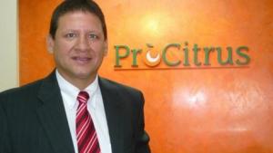 Menor producción de limón generaría la importación del producto, lo que suscita preocupación ante posible ingreso de enfermedad HLB o su vector