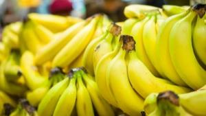 Mercado global del banano Cavendish alcanzará un valor estimado de US$ 25.440 millones para el año 2032