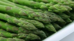 Mercado global del espárrago alcanzó cerca de US$ 26.000 millones en 2024