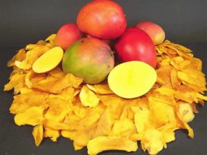 MÉXICO: NUEVA PLANTA ENVIARÁ MANGO DESHIDRATADO A ESTADOS UNIDOS Y EUROPA