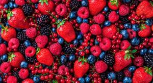 México prevé un descenso de hasta el 20% en las exportaciones de berries