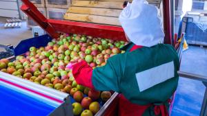 Midagri: agroexportaciones superaron los US$ 2,233 millones en el primer bimestre del año