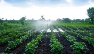 Midagri crea grupo de trabajo para reglamento de ley que promueve agricultura moderna