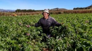 Midagri crea nómina de especialistas para fortalecer la gestión ambiental