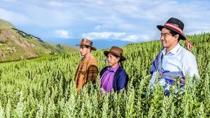 Midagri entregó S/ 628 millones en créditos a través del Fondo AgroPerú