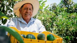 Midagri impulsa el desarrollo de productores agropecuarios con proyectos productivos