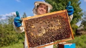 Midagri trabaja en la actualización del Plan Nacional de Desarrollo Apícola