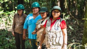 Minam asegura haber invertido S/ 170 millones para la conservación de bosques amazónicos