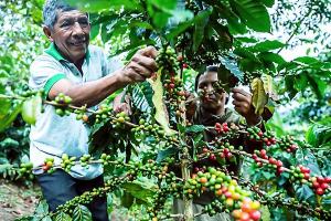 Minam financia eco y bionegocios