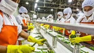 Minería, pesca y agroexportación se han convertido en los principales motores que generan empleo en el Perú