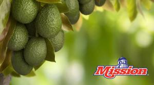 Mission Produce aumentó sus ingresos 29% en el primer trimestre de 2025