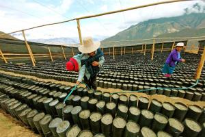 Modelos de gestión hídrica para enfrentar el cambio climático