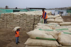 Moquegua: pequeños agricultores podrán comprar guano de las islas a bajo precio