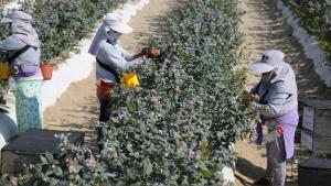 “No dejaremos que se acentúe aún más nuestra explotación”