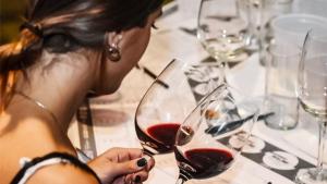 Nueva Ley del Vino exige trazabilidad y sanciona la adulteración