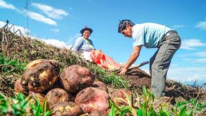 Nueva ley mejora la asistencia técnica a los productores agropecuarios