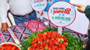 Oficial: Brasil abre su mercado para las fresas peruanas