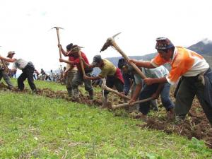 ONG AMERICANA REALIZA PROYECTO PARA AGRICULTURA A PEQUEÑA ESCALA EN PIURA 