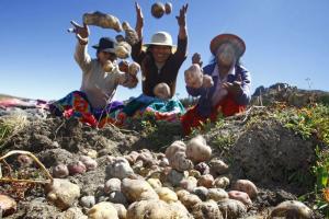 PBI agropecuario cayó -3.1% entre enero y agosto del 2023