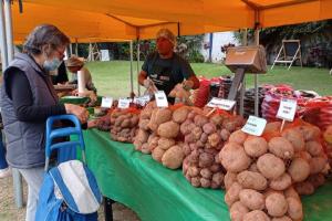 Pequeños productores logran ventas por S/ 7.471.678 en 520 mercados itinerantes “De la Chacra a la Olla”